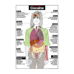 Cocaine Poster