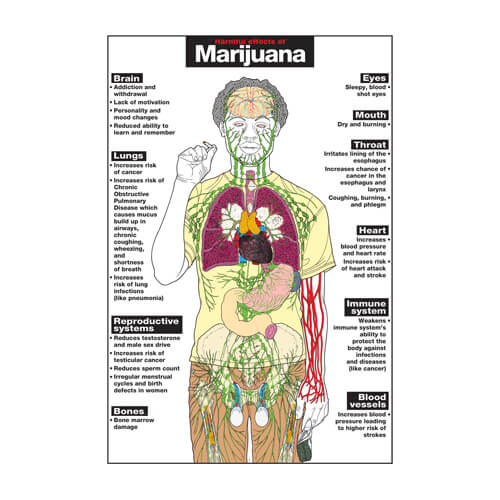 Marijuana Poster Marijuana Poster