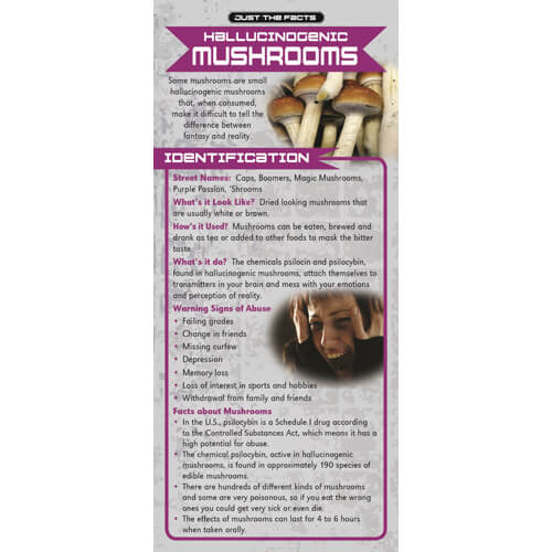 Just The Facts – Hallucinogenic Mushrooms Rack Cards – Sold In Sets of 100 Just The Facts – Hallucinogenic Mushrooms Rack Cards – Sold In Sets of 100