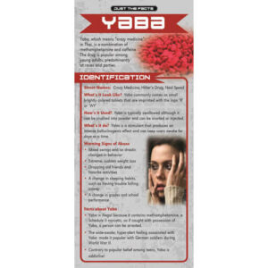 Just The Facts Rack Card: Yaba – Set of 100