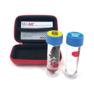 Mini A1C Diabetes Education Model Set