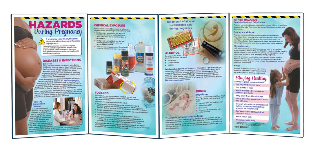 Hazards During Pregnancy Folding Display