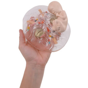 What Mommy Does, Baby Does