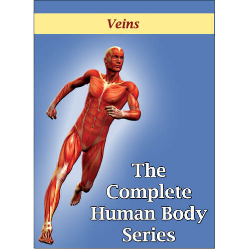 Veins: The Way to the Heart DVD Veins: The Way to the Heart DVD