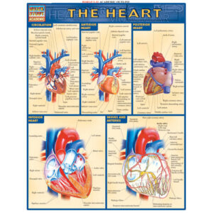 The Heart Poster