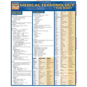 Medical Terminology – The Body Poster
