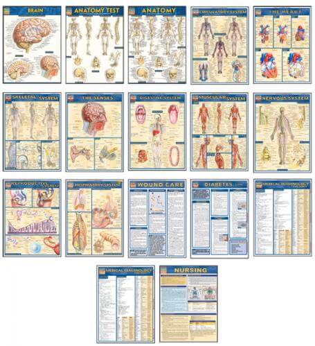 Medical Poster Series (Laminated) Medical Poster Series (Laminated)