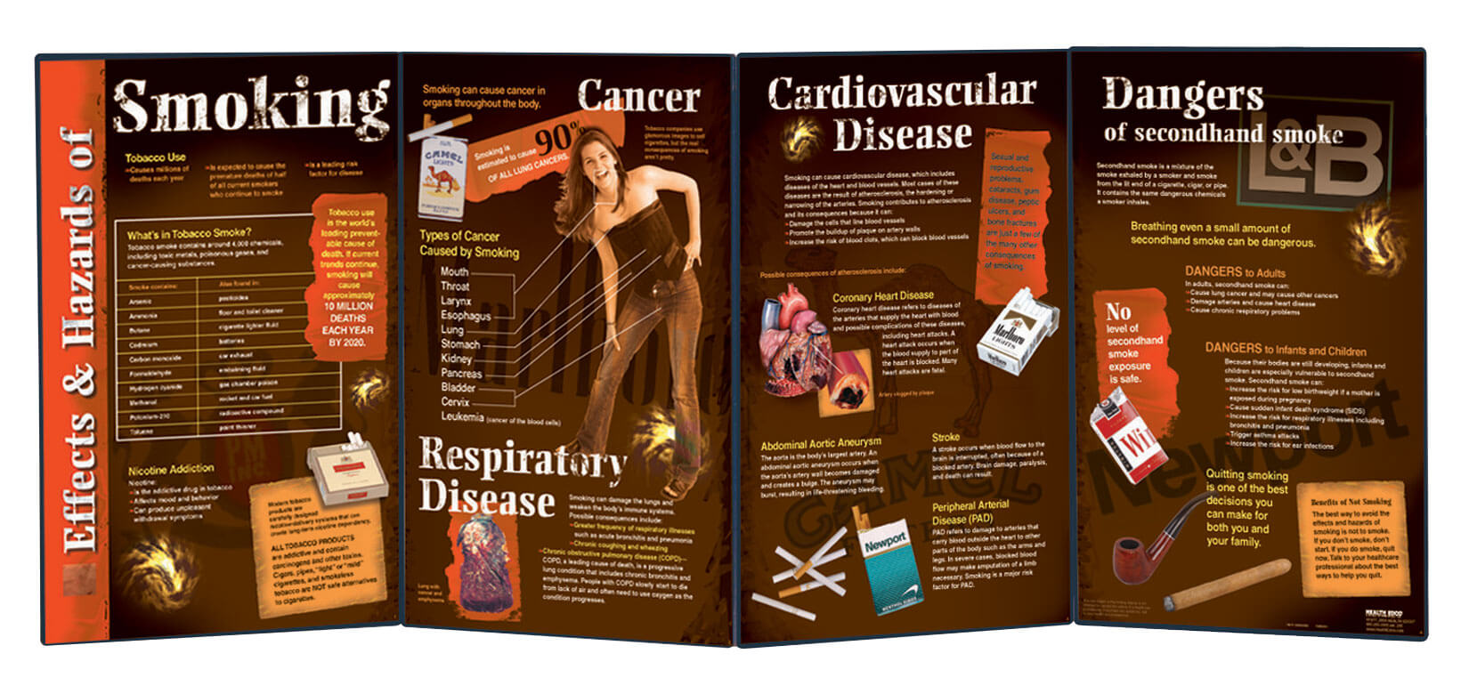 Effects & Hazards of Smoking (Folding Display) Effects & Hazards of Smoking (Folding Display)