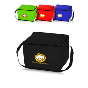 Zipper Top Insulated Lunch Bags