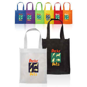 Non-Woven Small Gift Bag