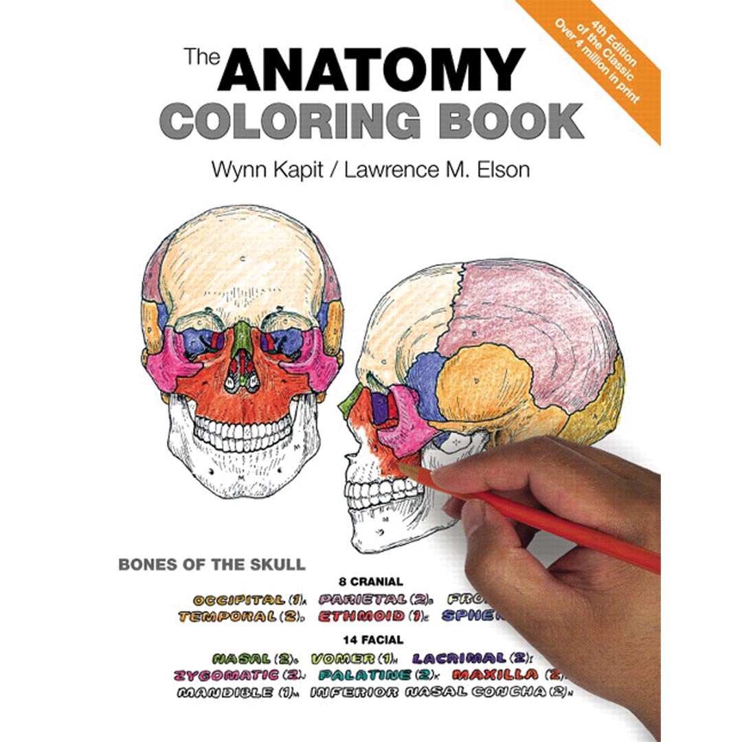 The Anatomy Coloring Book – 4th Edition