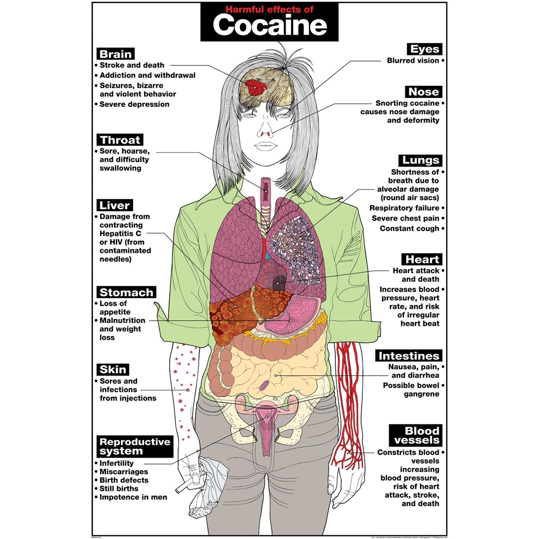 Cocaine Poster