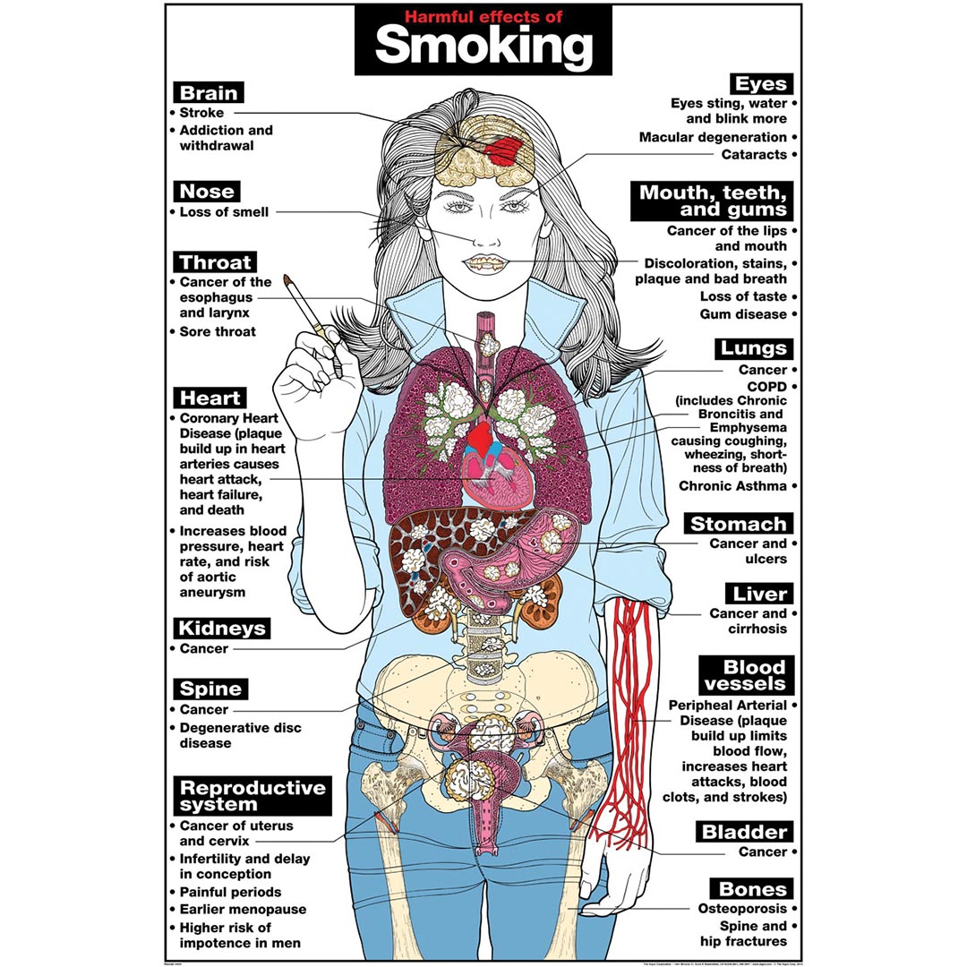 Smoking Poster