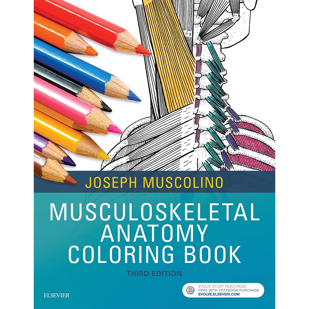 Musculoskeletal Anatomy Coloring Book, 3rd Edition