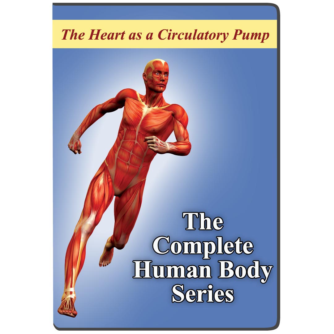 The Heart as a Circulatory Pump DVD