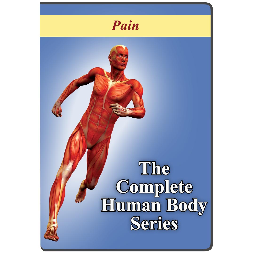 Pain - DVD