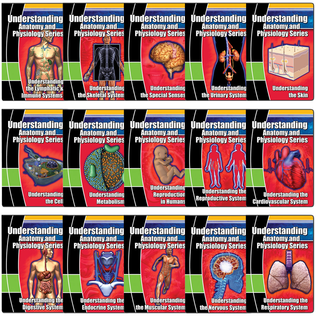 Understanding Anatomy and Physiology DVD Series