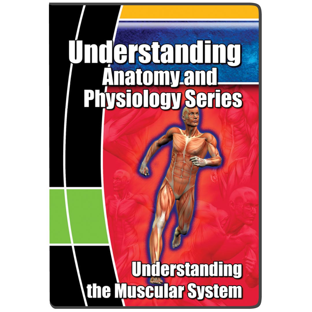Understanding the Muscular System - DVD