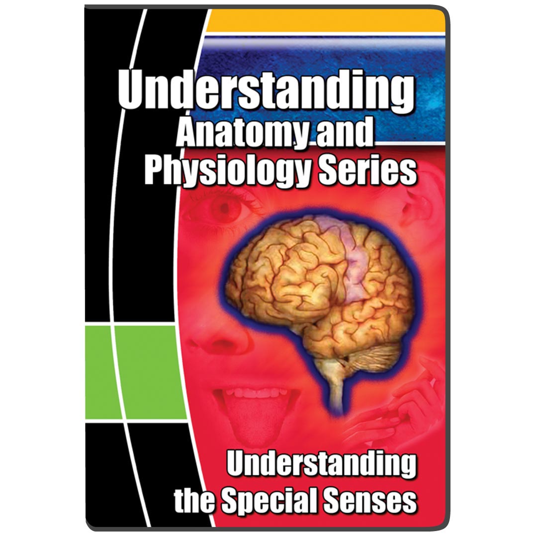 Understanding the Special Senses - DVD
